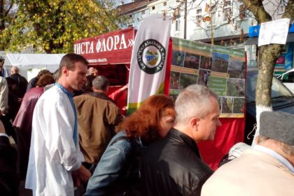 IMG_20131026_111826