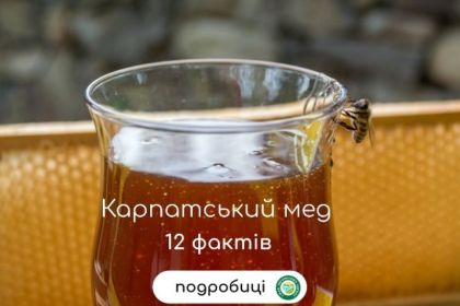Карпатський мед карпатський мед